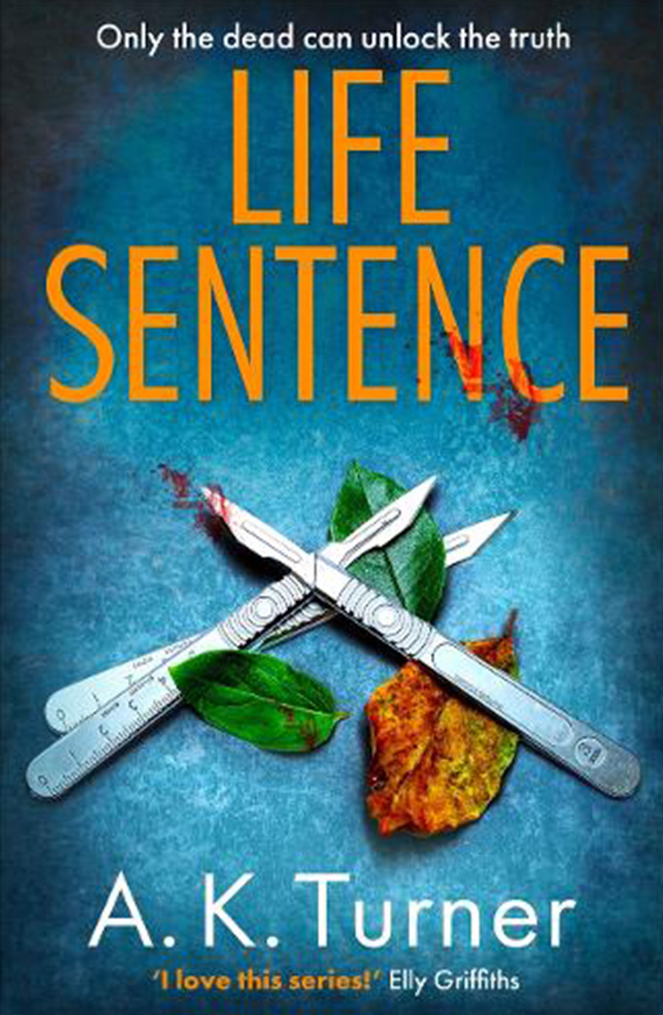 Life Sentence by A K Turner