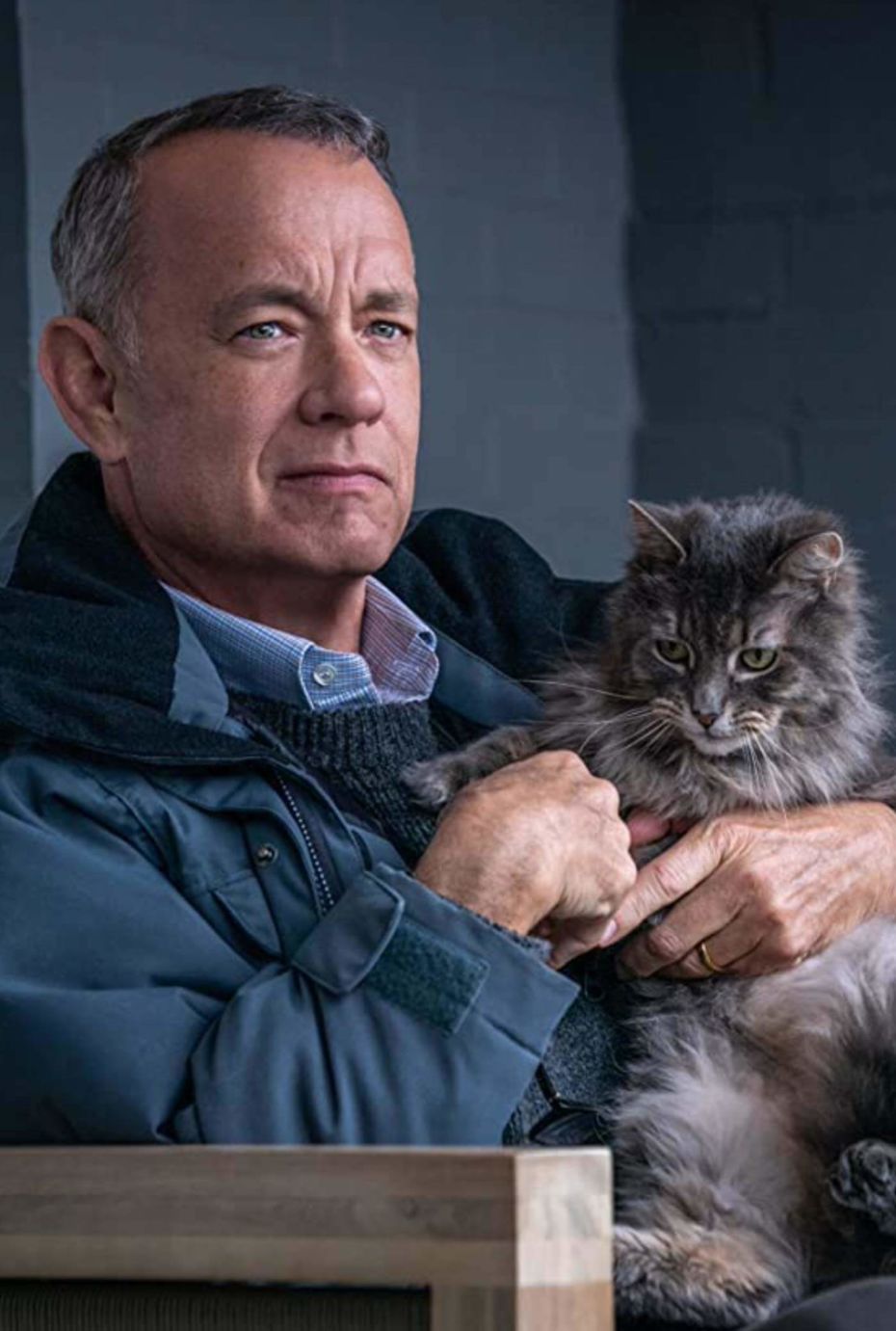 Film still for A Man Called Otto with Tom Hanks smiling with a cat on his knee